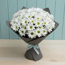 Букет цветов из:  Хризантемы #REPLACE_PRED# Приморье