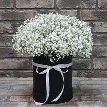 Цветочная композиция из Гипсофила в шляпной коробке #REPLACE_PRED# Приморье