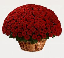 Премиум букет из: Розы в Приморье